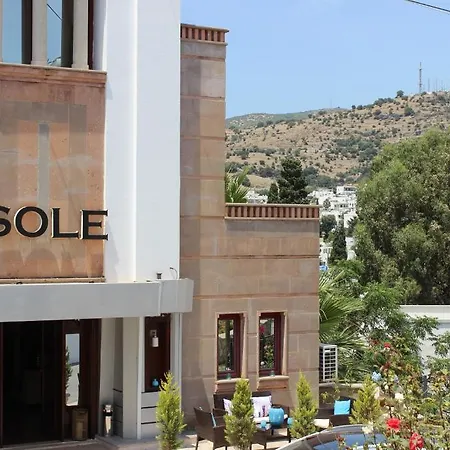 Sole & Отель 3*